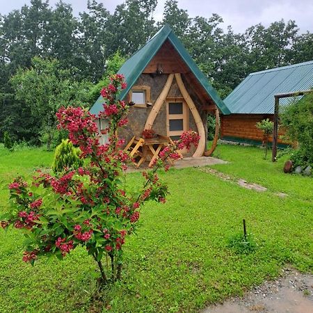 Gazela Bungalov 1 莫伊科瓦茨 外观 照片